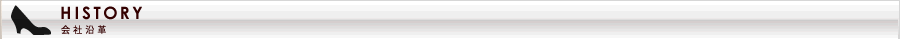 会社沿革